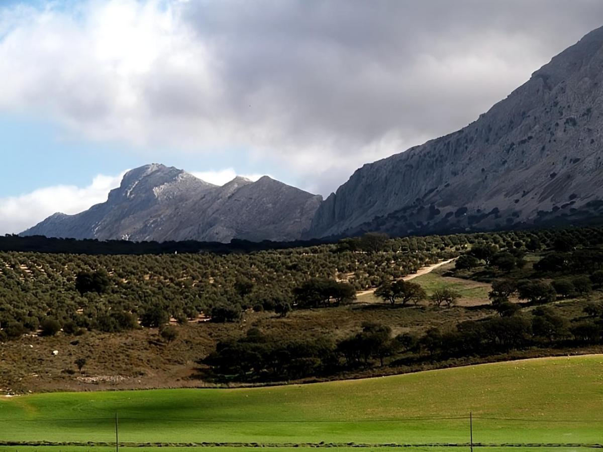 Hostal Colon Antequera Eksteriør billede
